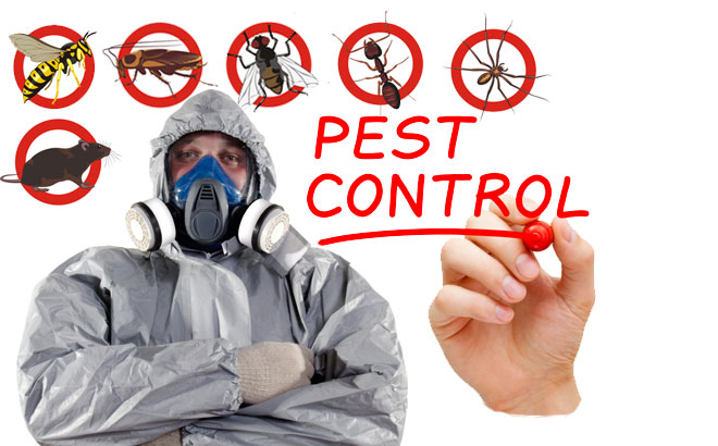 Image result for pest control house