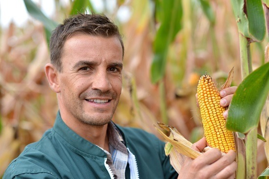How Corn Affects Human Civilization?
