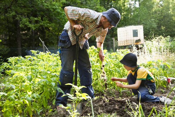 Understanding Soil Quality