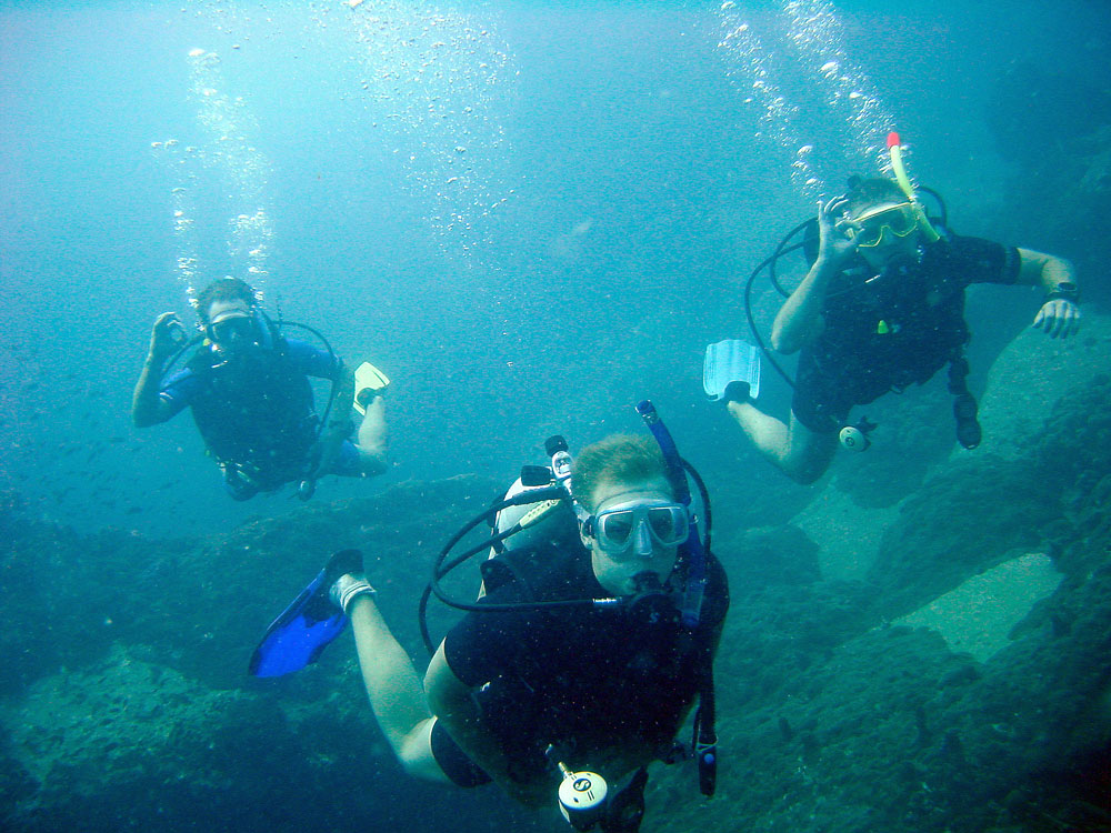 ABOUT THE COMPLETE GUIDE TO DIVING IN KOH TAO