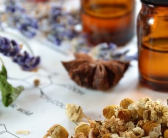 7 Essential Oils To Extract A Divine Aroma