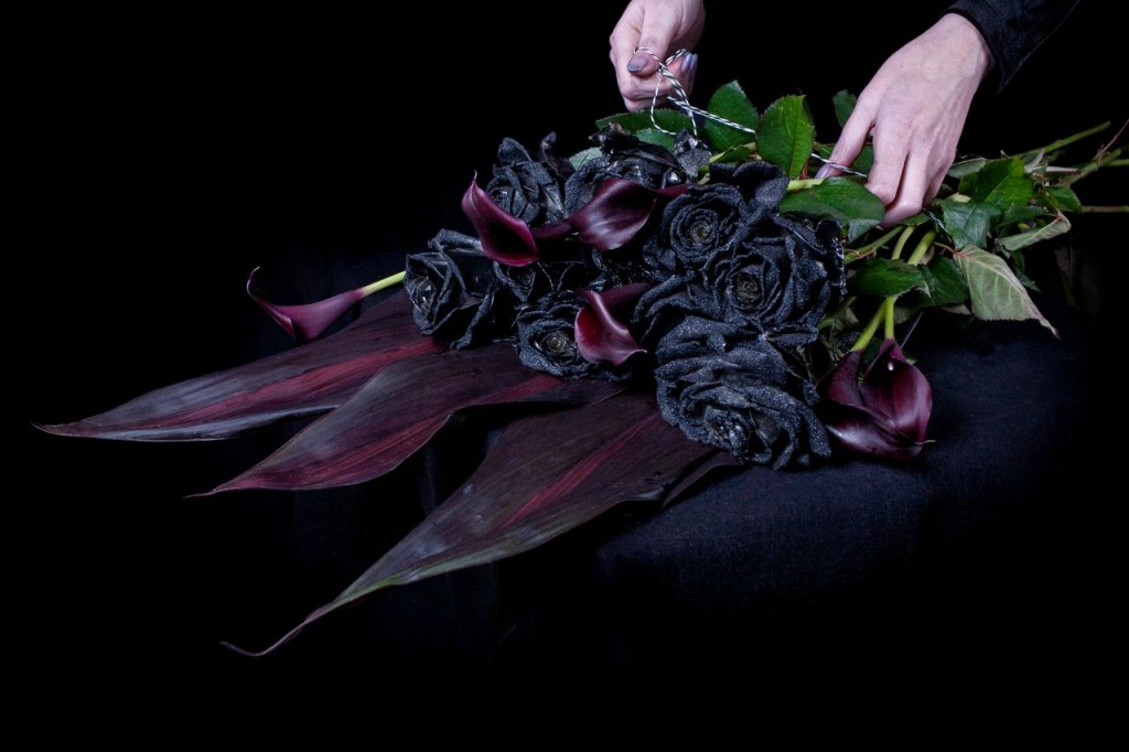 Top Most 7 Black and Elegant Beauty Of Flowers