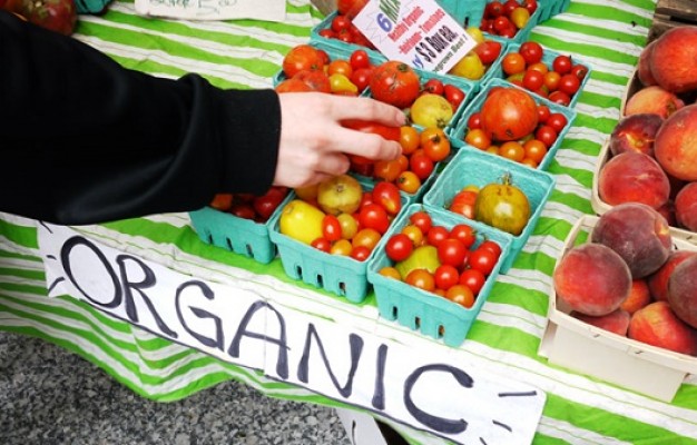 4 Tips To Follow A Nourishing Organic Diet Without Going Broke