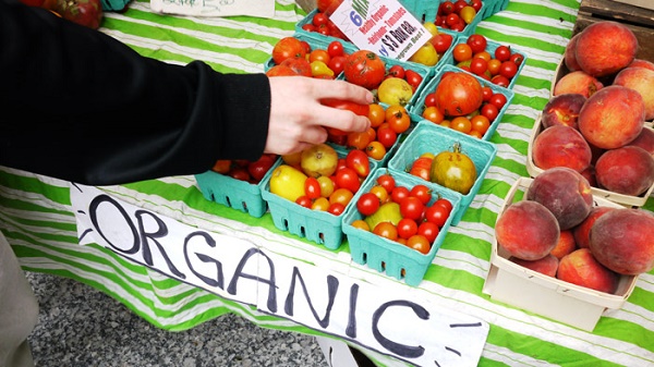 4 Tips To Follow A Nourishing Organic Diet Without Going Broke