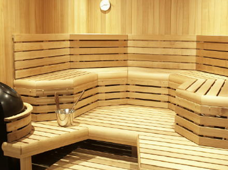 Sauna heater