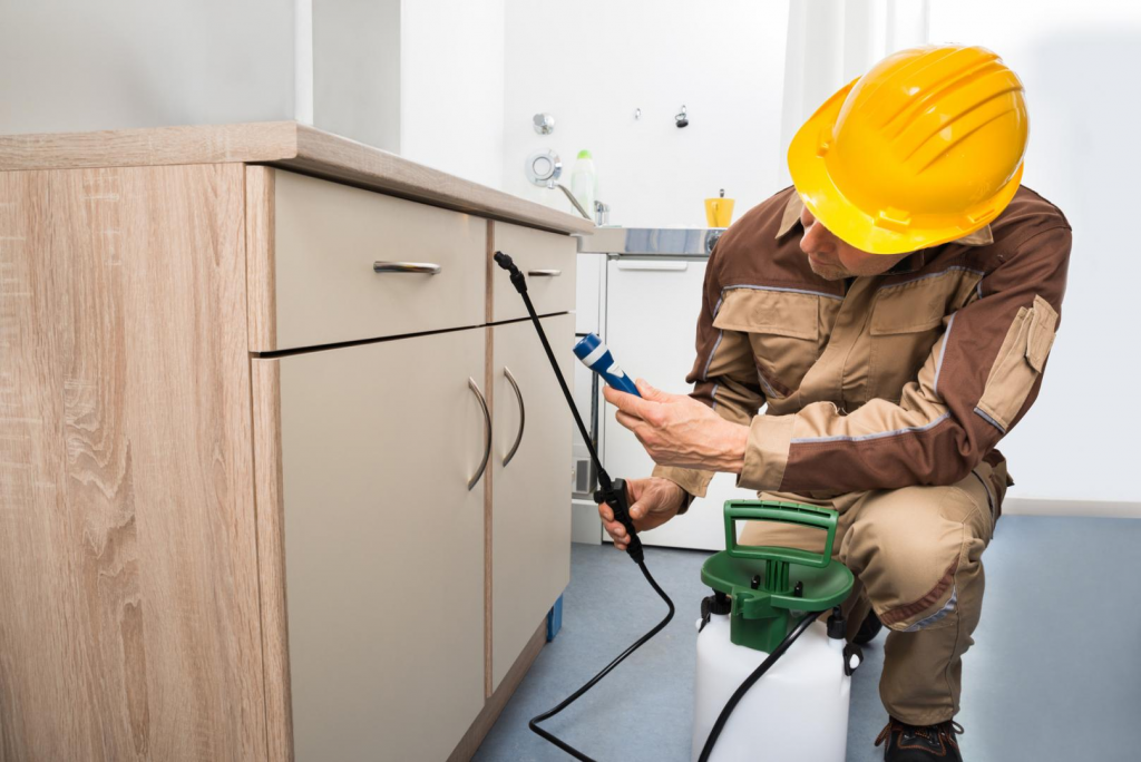 Hiring Tips For The Best Pest Controlling Services