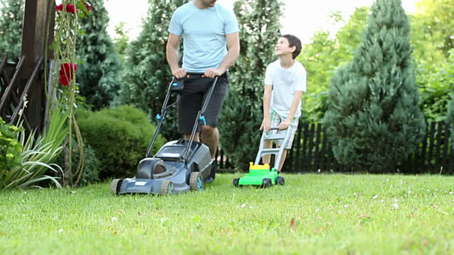 Doing A Backyard Clean Up? Use These Expert Hacks To Clean Up Real Fast