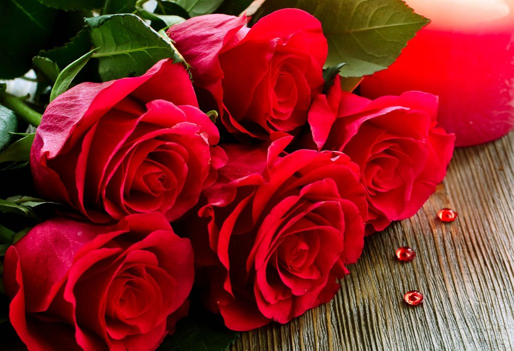 Why Are Roses Considered Best To Express Their Love? Learn Their Significance Before Gifting Them On This Rose Day