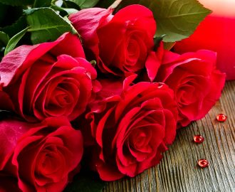 Why Are Roses Considered Best To Express Their Love? Learn Their Significance Before Gifting Them On This Rose Day
