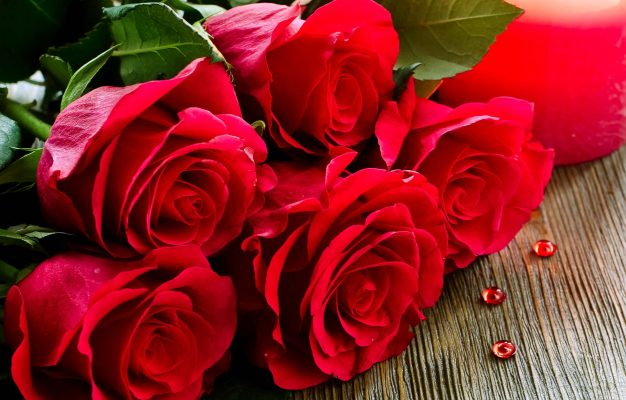 Why Are Roses Considered Best To Express Their Love? Learn Their Significance Before Gifting Them On This Rose Day