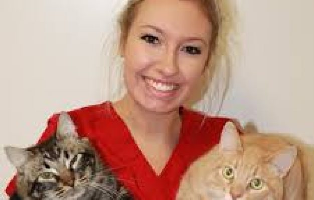 4 Facts About Emergency Pet clinics