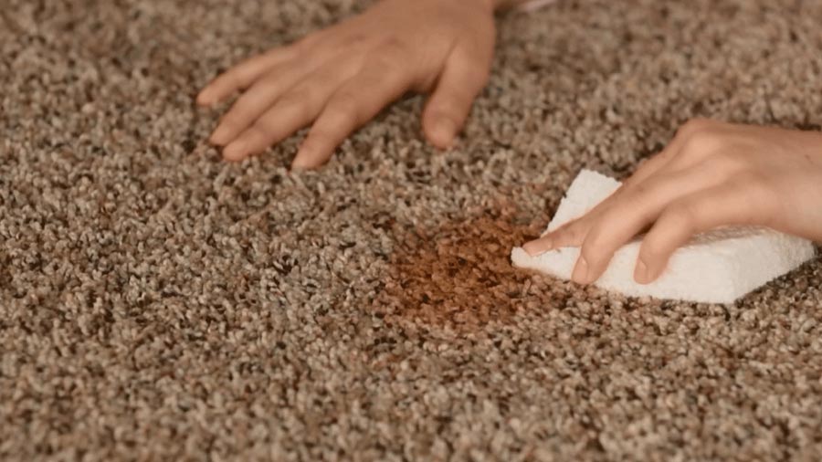 How To Maintain Your Rugs and Carpets?