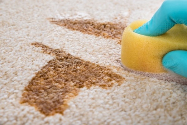 Stain Removal Tips For Your Carpet