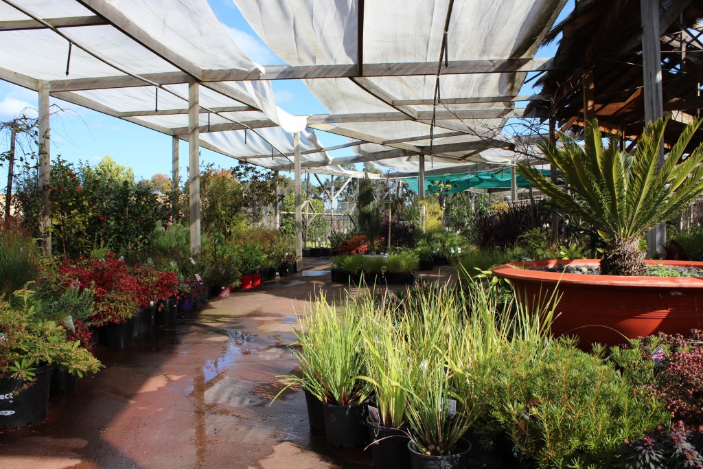 4 Smart Tips To Stumble Upon The Right Garden Centre Near You