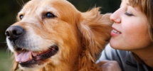 4 Easy Tips To Take Care Of Your Dog