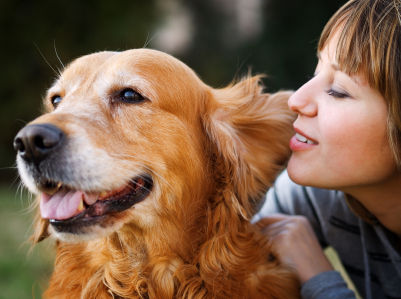 4 Easy Tips To Take Care Of Your Dog