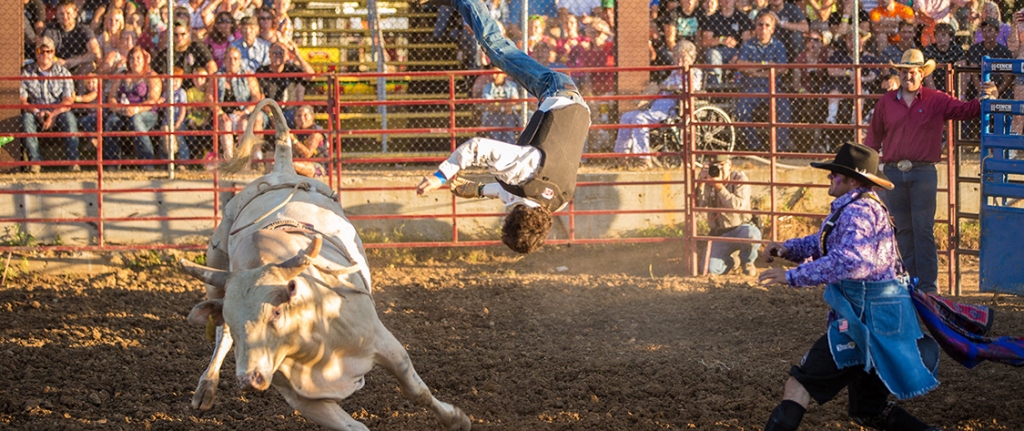 Rodeo Bull Rides Are For Family Entertainment Centre