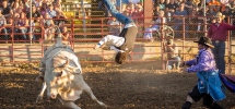 Rodeo Bull Rides Are For Family Entertainment Centre