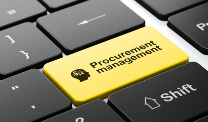 Would You Hire A Procurement Influencer To Tap The Best Available Solutions?