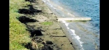 Shoreline erosion control