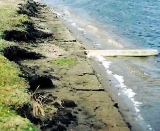 Shoreline erosion control