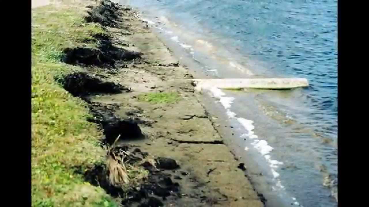 Shoreline erosion control
