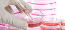 A Guide About Stem Cell Therapy