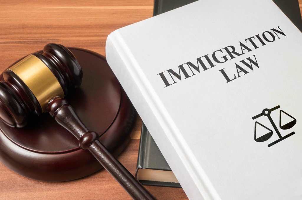 Business Immigration Law