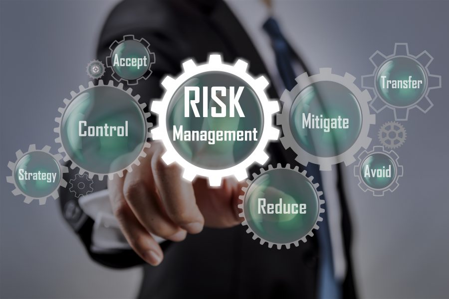 security risk management consultants